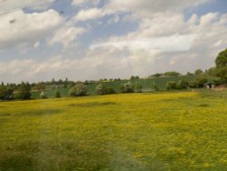 A picturesque view near Ledbury Wallpaper