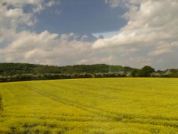 Countryside near Ledbury Wallpaper