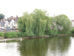 Bewdley, the River Severn Wallpaper