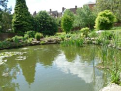 Park in the Bewdley museum Wallpaper