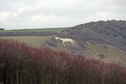 Littlington White Horse Wallpaper