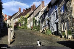 Shaftesbury in Dorset Wallpaper