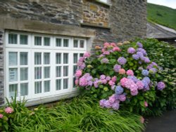 A house in the village of Boscastle Wallpaper