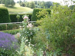 Park in the Leeds castle, 2010 Wallpaper