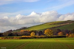 A circular walk from Shillingstone to Hanford.