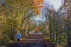 A circular walk from Shillingstone to Hanford.