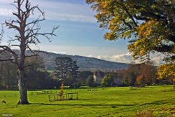 A circular walk from Shillingstone to Hanford.