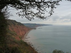 Sidmouth Wallpaper