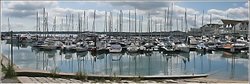 Masts in the Marina Wallpaper