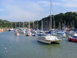 Ilfracombe Harbour Wallpaper