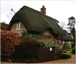 Copse Cottage Wallpaper