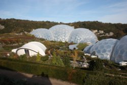 At the Eden Project Wallpaper