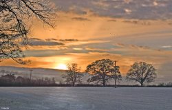 Stour Valley Winter, Shillingstone. Wallpaper