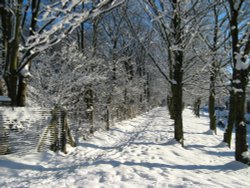 Gateshead in the snow Wallpaper