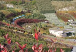 At the Eden Project Wallpaper