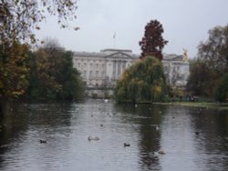 A view of Buckingham Palace from St James Park Wallpaper