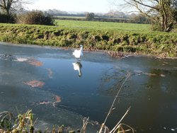 Frozen Canal Wallpaper