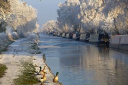 Sub zero temperatures near Fradley Junction Wallpaper