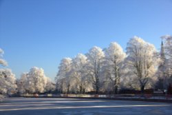 Frozen Trees, Minster Pool Wallpaper