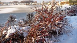 Winter at Tattershall Wallpaper