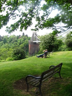 Bridge and Benches