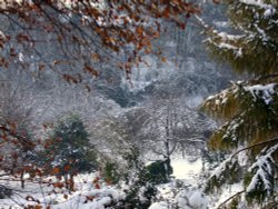 Valley Gardens in winter
