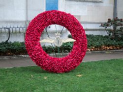 Field of Remembrance, Westminster Abbey Wallpaper