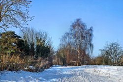 Stour Valley Winter, Shillingstone.