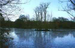 Nidd in Winter. Wallpaper