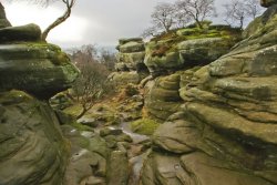 Out and about at Brimham Rocks Wallpaper