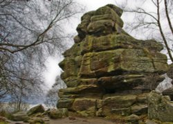 Out and about at Brimham Rocks Wallpaper