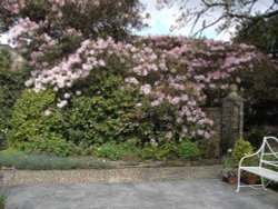 Garden Gate Wallpaper