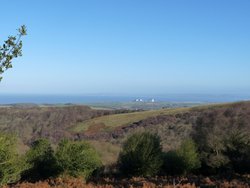 Quantock Hills Wallpaper