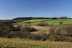 Arne RSPB Reserve. Wallpaper