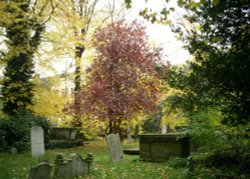 Churchyard Wallpaper