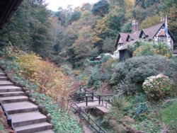 Shanklin Chine Wallpaper