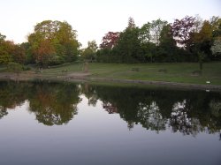 Doctors Pond, Great Dunmow Wallpaper