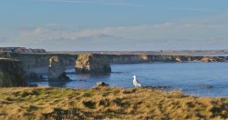 Marsden Bay