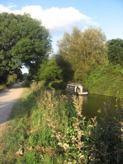 Evening Cruise