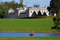 Woburn Abbey Wallpaper