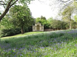 Bleinheim Pavilion and Bluebells Wallpaper