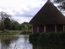 Slimbridge Wetland Centre Wallpaper