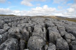 Limestone Pavement Wallpaper