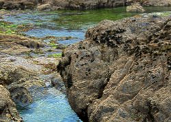 Rock Pools Wallpaper