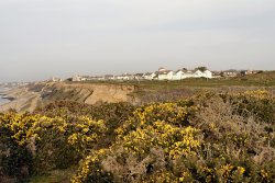 Cliff-top gorse Wallpaper