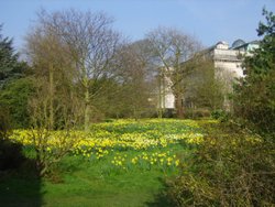 Pembroke College Gardens Wallpaper