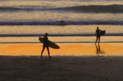 Sunset surfers