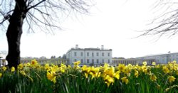 The Queen's House in Spring Wallpaper