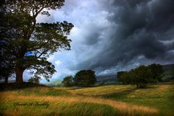 Wensleydale North Yorkshire Wallpaper