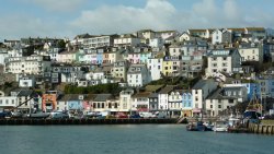 Overlooking Brixham Harbour Wallpaper